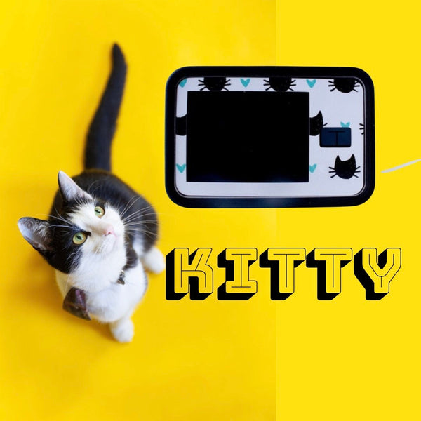 Kitty  T-Slim Decal