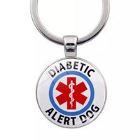 Diabetic Alert Dog Dog Tag / Keychain